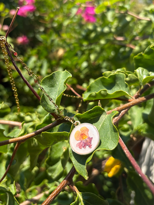 Autumn Bloom